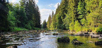 Circuit n°17 - Les Gorges du Fourperet