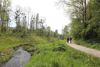À travers le Plateau de Saclay