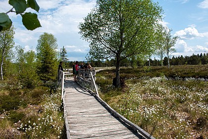 Circuit n°1 - Réserve Naturelle Régionale de Frasne - Bouverans