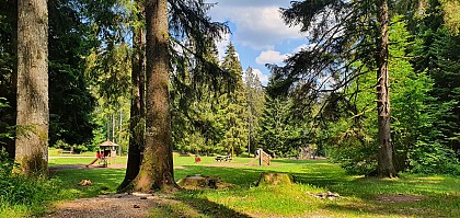 VTT 9 - Le Théâtre Forestier