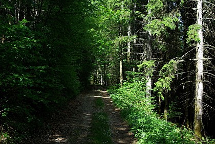 VTT 4 - Les Seignots