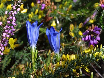 Circuit des Landes de Bilais