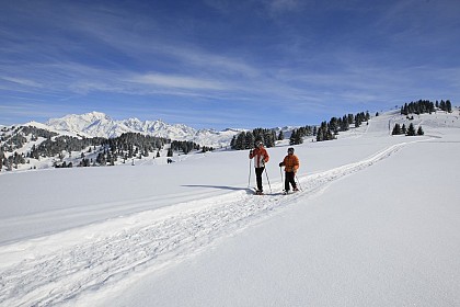 Itinéraire raquettes - Chemin panoramique des Crêtes