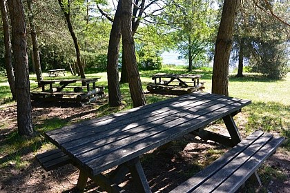 Miallet en écomobilité - Un bol de nature à l'étang de Miallet
