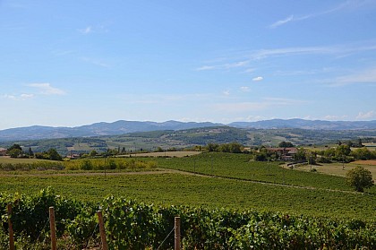 Saint-Jean-des-Vignes - Espace des Pierres Folles