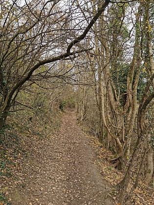 Le Val de Saône en toile de fond