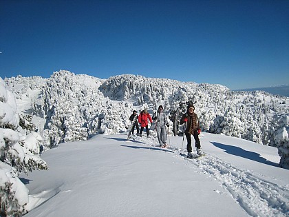 Le Crêt de la Neige