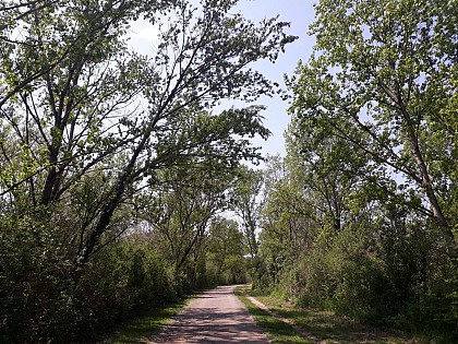 Parc de Miribel-Jonage - Les Gabions des Allivoz