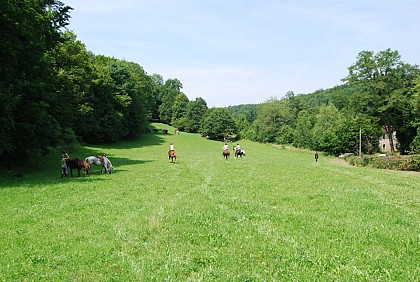 Boucle équestre de Melisey - Vosges du sud