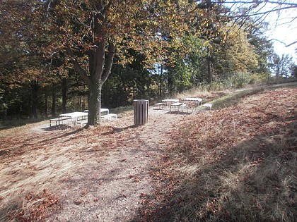 Rando santé - Dans les parcs de Lyon 5e