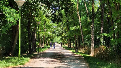 Voie verte et quais de Saône