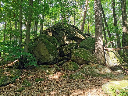 Saint-Martin-en-Haut - Balade de la roche Mathiole