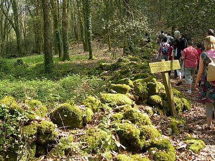 GRP© St Nolff à Saint Avé