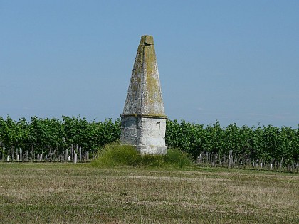 Arces / Barzan : les coteaux de l'estuaire