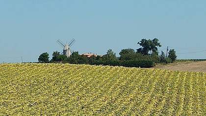 Floirac : l'estuaire