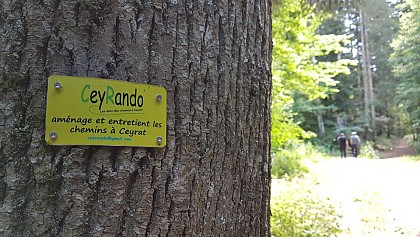 Le Chaos de la Faille