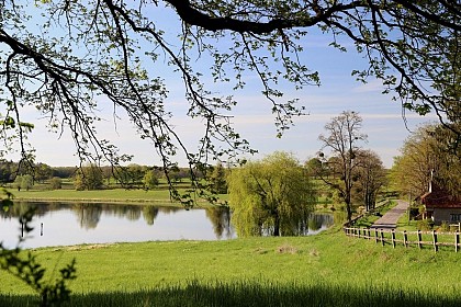 Circuit de l'étang de Chèvres