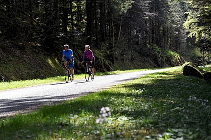 Itinéraire cyclable V50/Luxeuil-les-Bains/Belfort - Vesoul/Val de saône-Vosges du sud