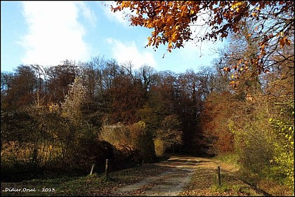 Des celtes aux bûcherons