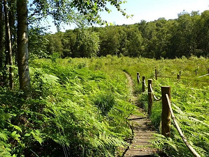 La Tourbière des Froux et son sentier de découverte