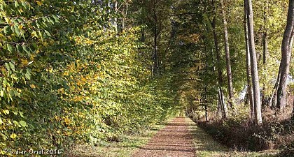 La voie verte "Condé/Alençon"