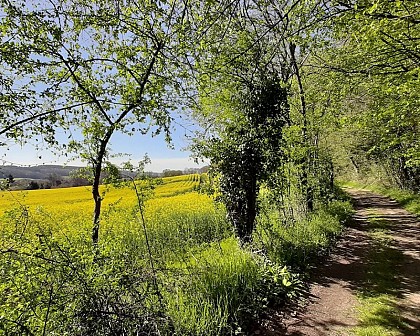 Nobles logis (Rémalard - circuit long)