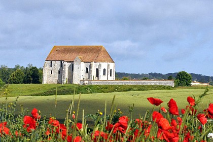 Luisetaines, le marais de l'auxence