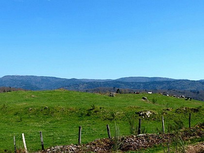 Circuit VTT n°VS4 - Le Cigle - Melisey - Vosges du sud