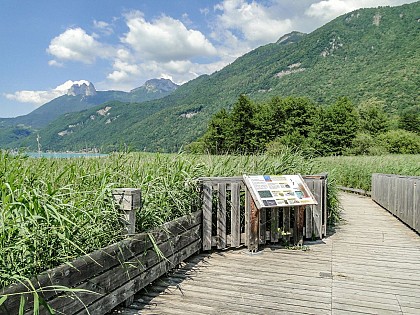 Walking trail in the Bout du Lac d'Annecy nature reserve