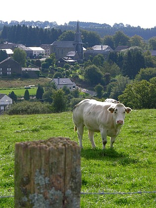 AUTOUR DE BELLEFONTAINE (par le Col de Petit-Fays – altitude 372 m)