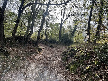 83 - LA CHAPELLE D'ESPUTS