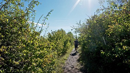 Circuit Trail Limagne des buttes et Allier