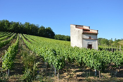 Vignes & Clochers