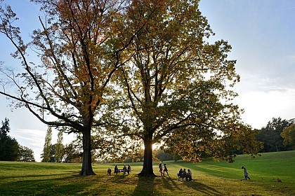 Charbonnières-les-Bains - Parc de Lacroix-Laval