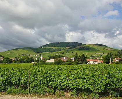 Belleville-sur-Saône - Tour de Belleville et de ses vignes