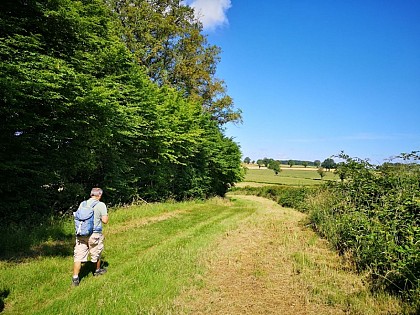 Circuit pédestre n°49 "entre indre et cher"