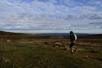 Cévennes panoramiques par le mont Lozère -Trail