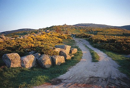 Crêtes du Mont Lozère - Trail n°18