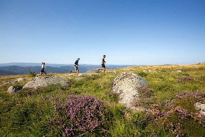 Finiels et Pont du Tarn - Trail n°25