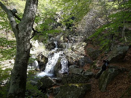 Orgon Waterfalls
