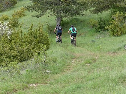 Sauveterre, circuit VTT n°1 (Rouge)