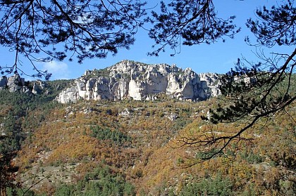 Voyage entre Gorges et Causse, au pays des vautours