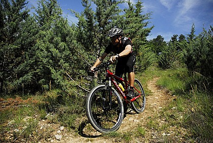 LE TOUR DE LA FUBIE N°12 - VOLONNE - BASE VTT VAL DE DURANCE