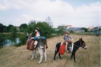 Découverte de la vallée de la Loire aux pas des ânes