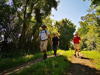 Circuit pédestre n°66 : du plateau de villechère à la vallée de l'igneraie