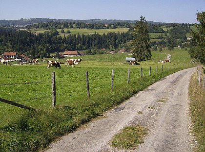 De la Goulisse au Fays