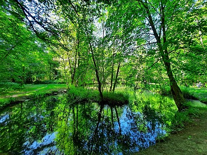 A la rencontre de Saint-Louis