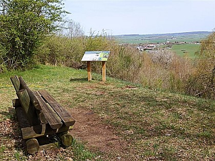 SENTIER LINÉAIRE JEAN-MARIE PELT