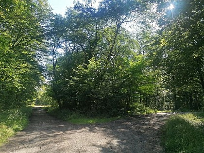 SOETRICH TRAIL