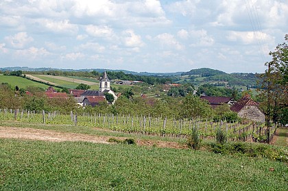 Autour du vignoble